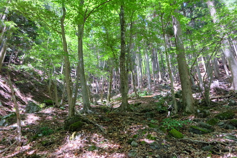 b0281732_824023.jpg