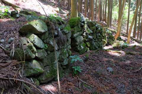 b0281732_8241616.jpg