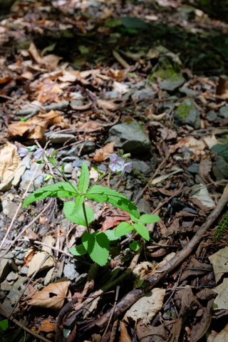 b0281732_824821.jpg