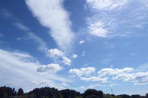 f0118332_21430078.jpg