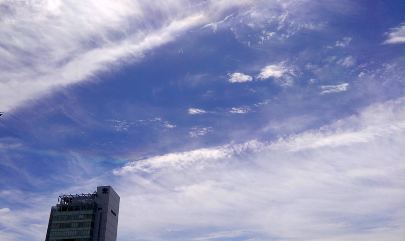 b0170134_10483978.jpg