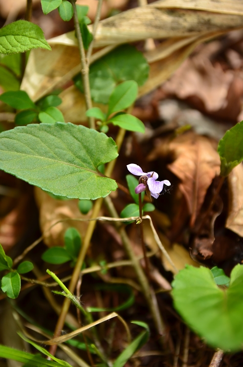 b0236334_20504767.jpg