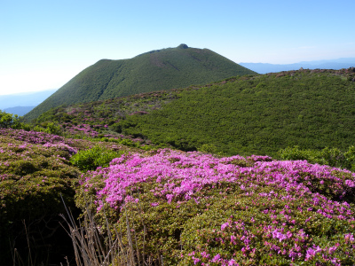 e0272335_20554193.jpg