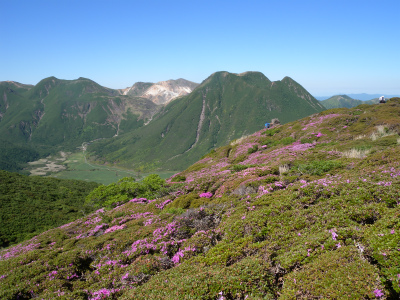 e0272335_20591513.jpg