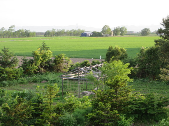 f0221648_17561214.jpg