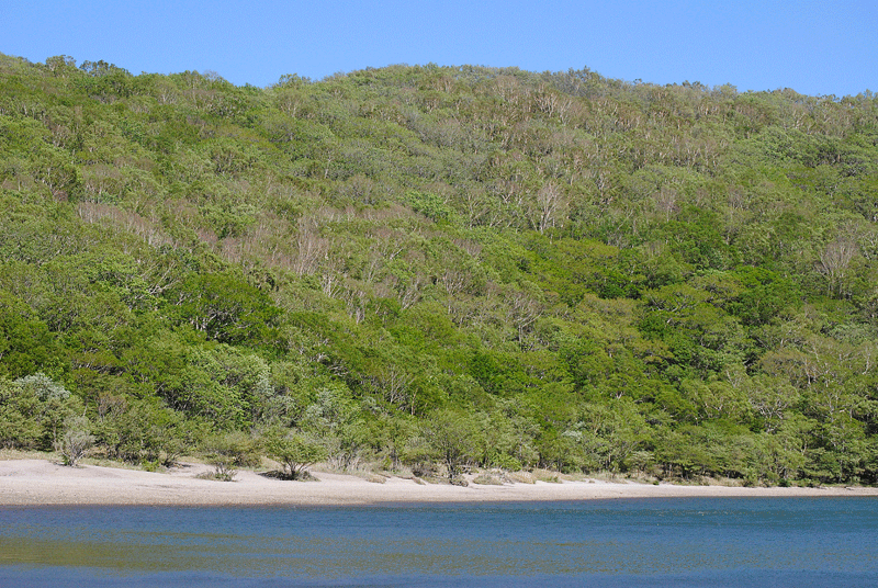a0001354_2130499.gif