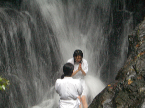b0002156_1411304.jpg
