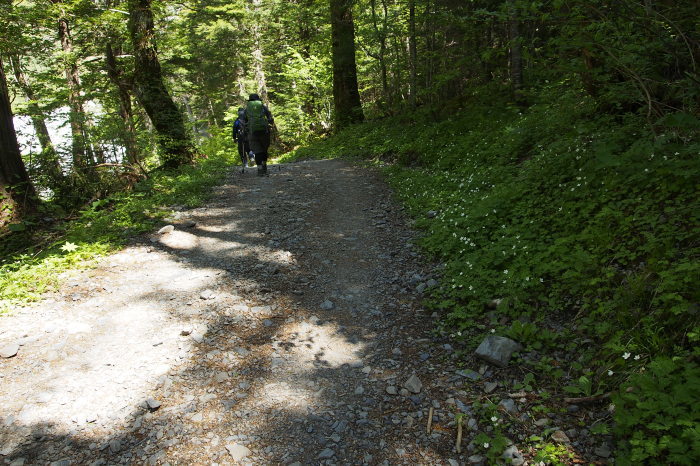 e0307372_06132376.jpg
