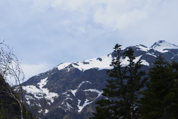 e0307372_21011445.jpg