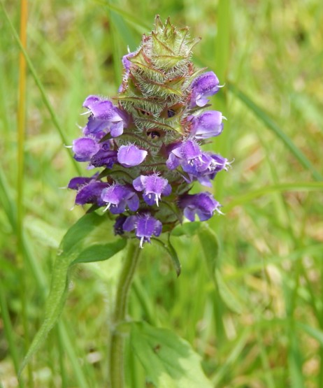 c0144185_10122385.jpg