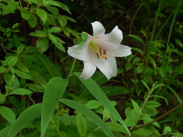c0144185_103556.jpg
