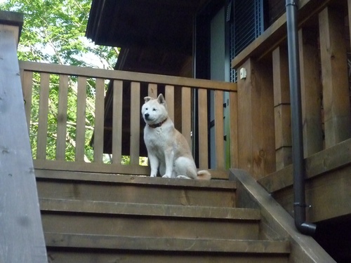 c0123890_2101699.jpg