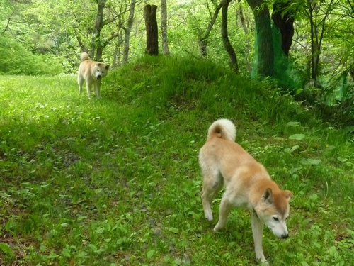 c0123890_2183513.jpg