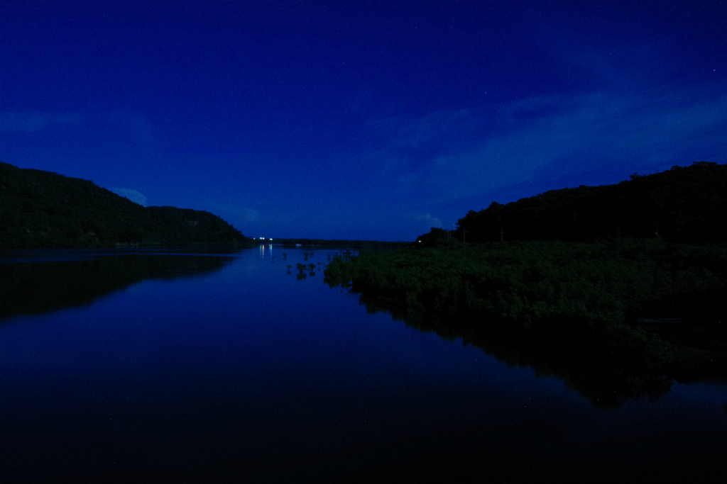 d0286391_10262244.jpg