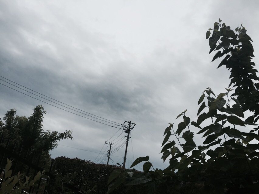 d0135694_10063764.jpg