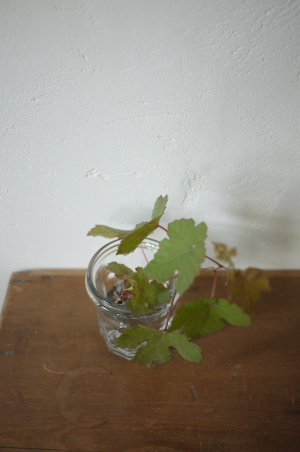 f0161494_1071695.jpg