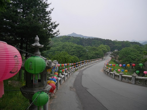 a0140305_0593795.jpg