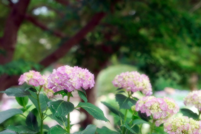 a0263109_21383571.jpg