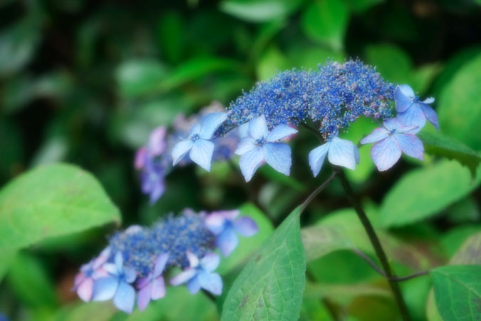 a0263109_21403435.jpg