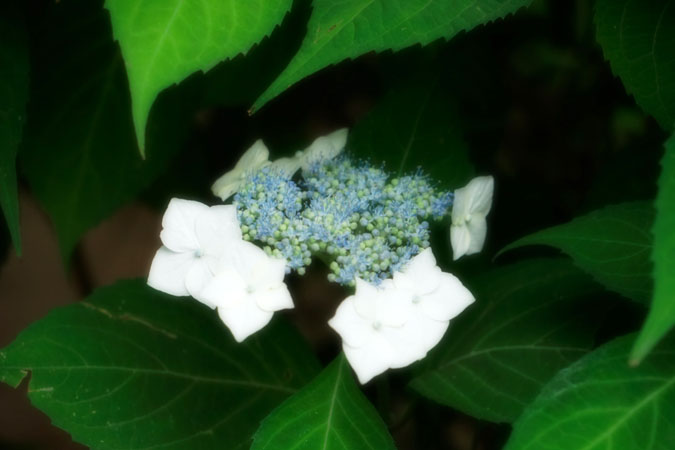 a0263109_2144294.jpg
