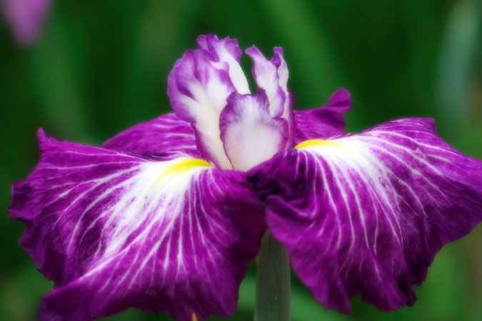a0263109_21444420.jpg