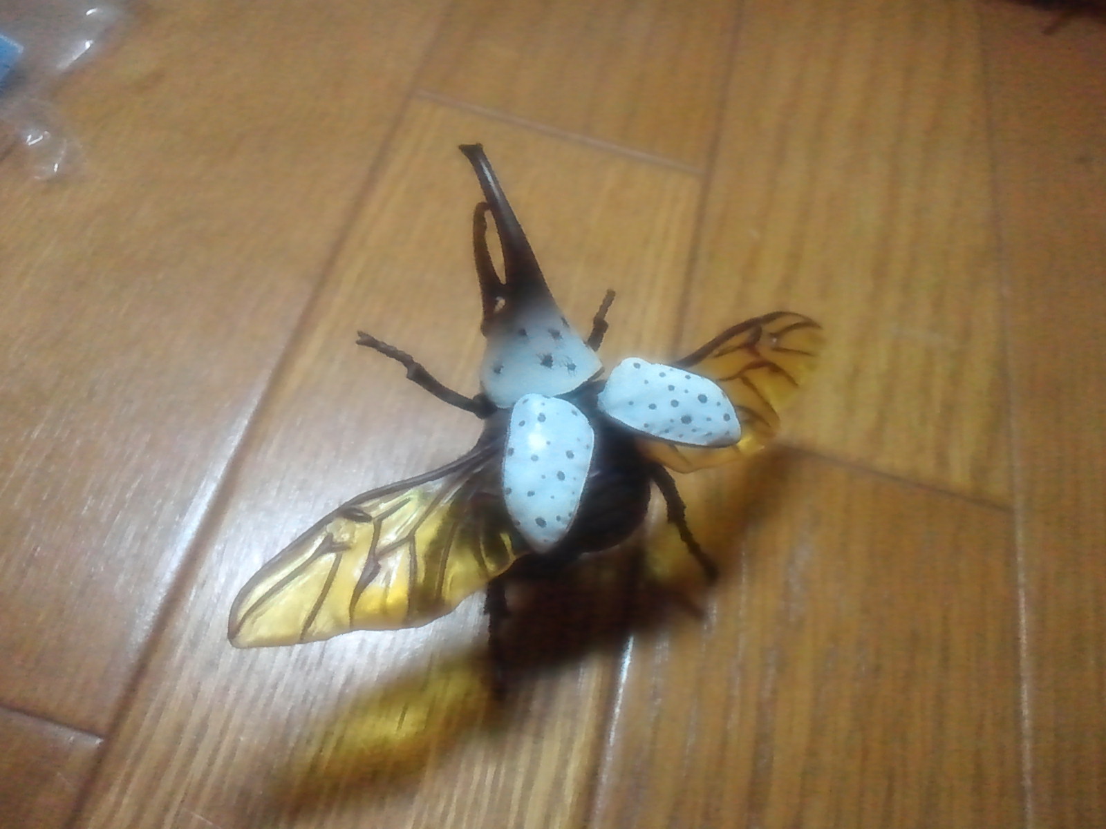 c0062511_21273454.jpg