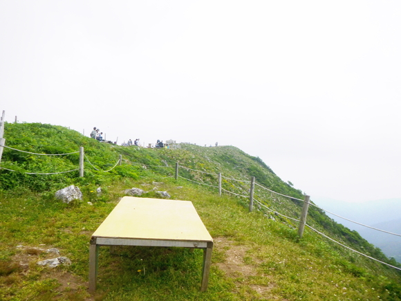 d0170615_11553672.jpg