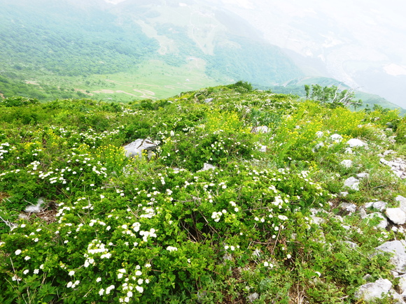 d0170615_11563344.jpg