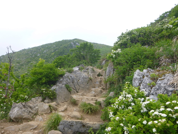 d0170615_11573650.jpg
