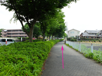 d0194217_88148.jpg