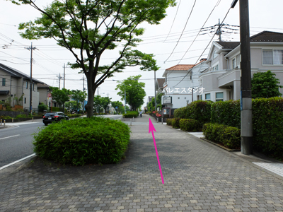 d0194217_883140.jpg