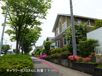 d0194217_895524.jpg