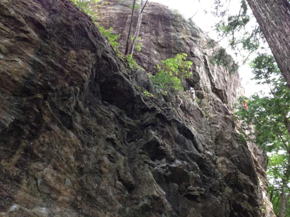 c0210618_20044042.jpg
