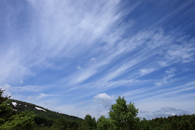 c0369219_14503132.jpg