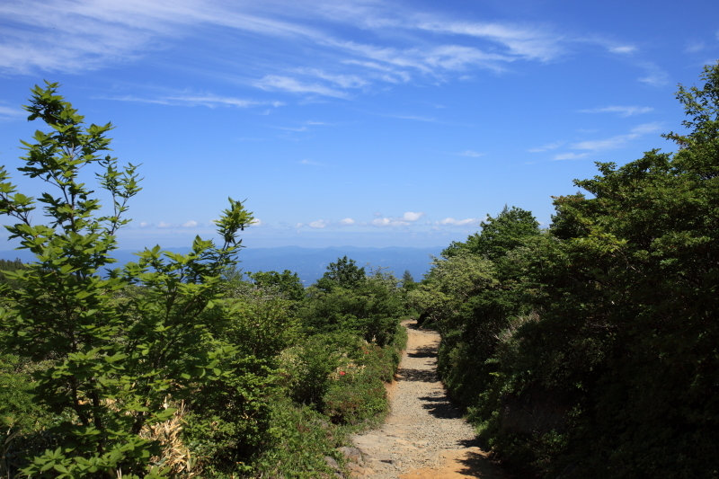 c0369219_15444438.jpg
