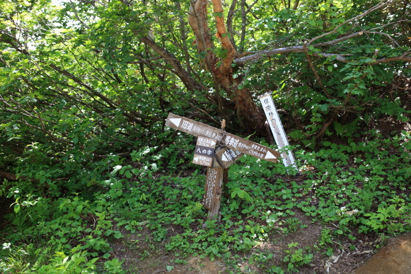 c0369219_15531559.jpg