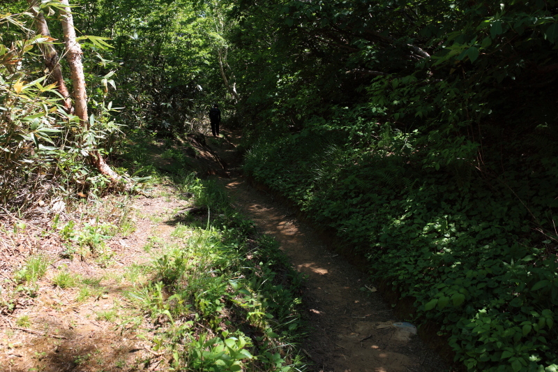 c0369219_16014985.jpg