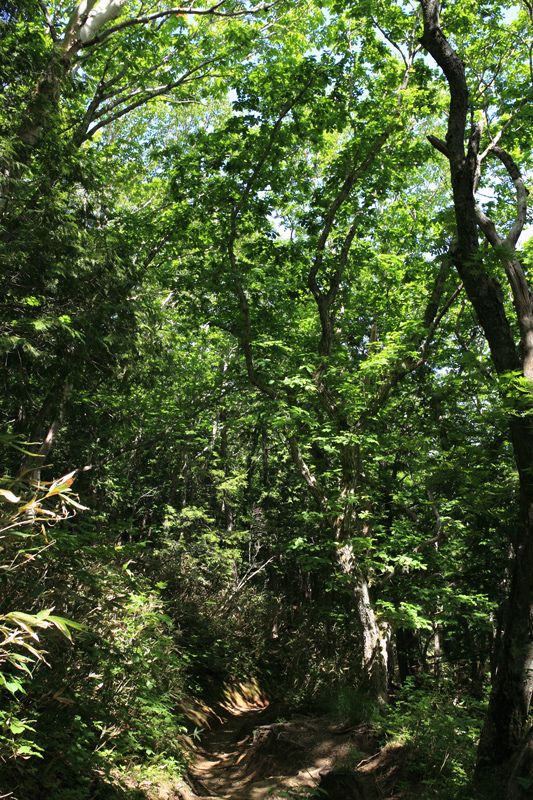 c0369219_16240866.jpg