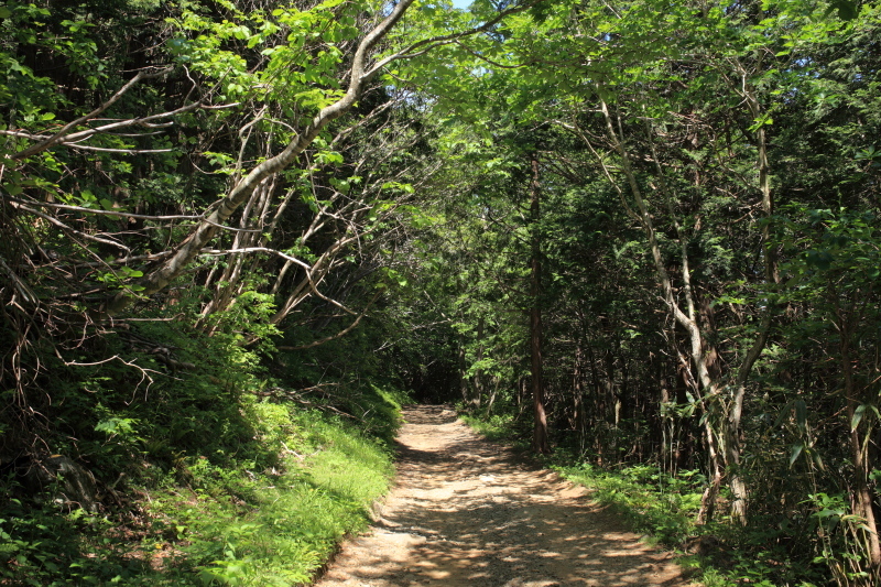 c0369219_16293870.jpg