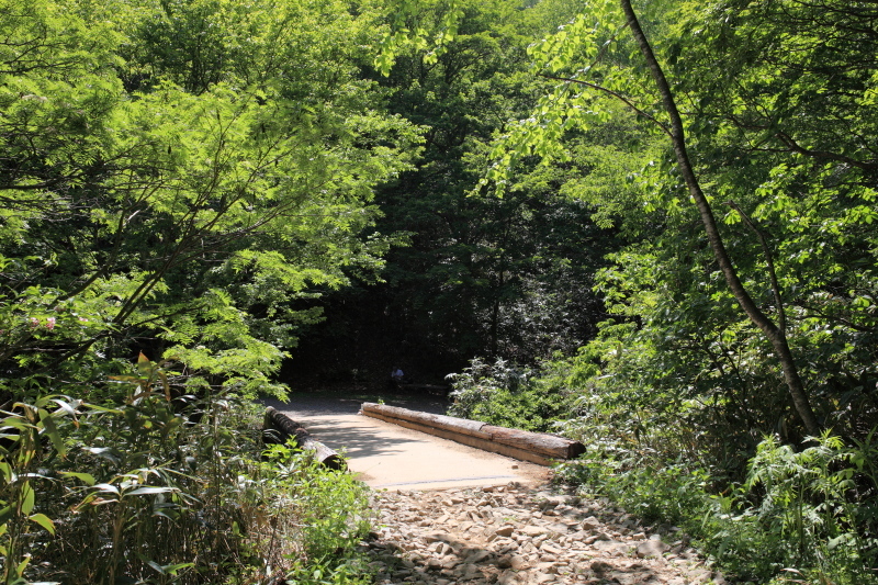 c0369219_16433323.jpg