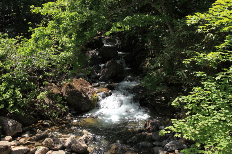 c0369219_16473837.jpg