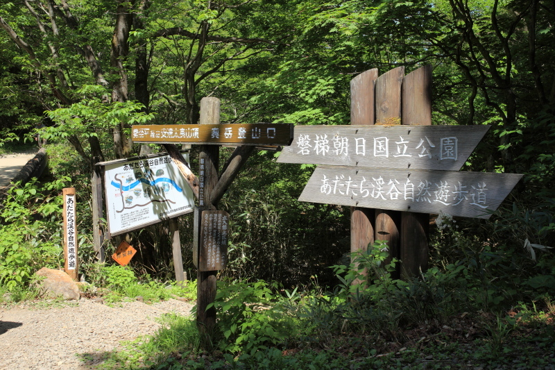 c0369219_16494742.jpg