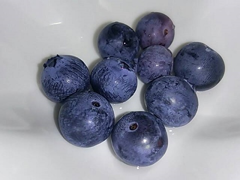 b0199924_11244270.jpg