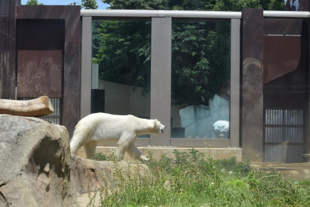 f0344626_00221159.jpg