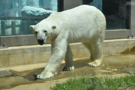 f0344626_00243321.jpg