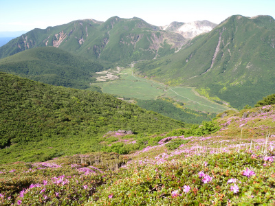 e0272335_430106.jpg