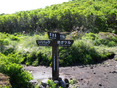 e0272335_4455074.jpg