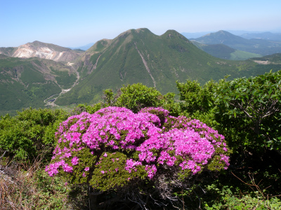 e0272335_4572480.jpg
