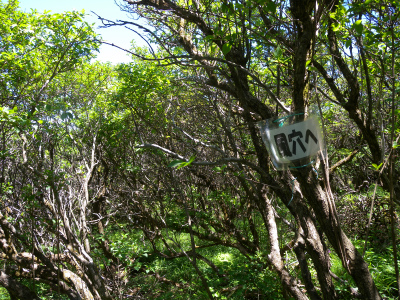 e0272335_5323669.jpg