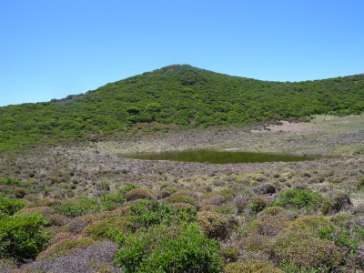 e0272335_5341861.jpg